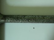 DSCN0657.JPG