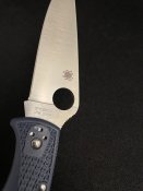 IMG_4366.jpeg