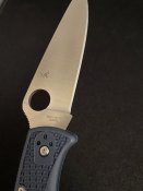 IMG_4367.jpeg