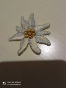 нашива едельвейс . Діаметр 5 см.