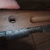 VZ29