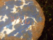 DSCN0435.JPG
