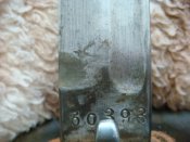 DSC02837.JPG