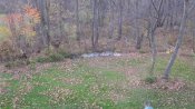 IMG_0571.jpg