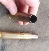 20230202_121801.jpg