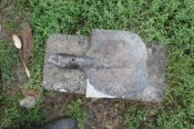 DSC01351.JPG