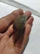 Верхня частина кугеля на пікельхельм Артелериста
