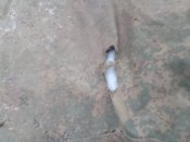 Кацапські зимові штани