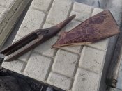 Дерево