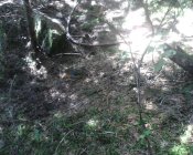 IMG0504A.jpg