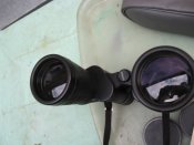 IMG_9313.jpg