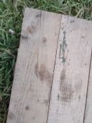Саморобна дошка від нард Нравится не Нравится терпи моя красавица