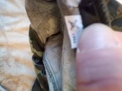 IMG_20230215_072952_165.jpg