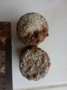 Ковпачки на 7.5cm Minenwerfer M.17