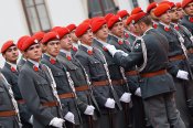 Берет красный австрийской армии 59