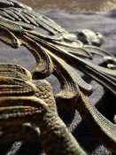 Німецький Орел на Пікельхельм «ПСВ» з залишками рідної позолоти