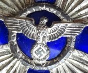 За службу в NSDAP в серебре (За 15 лет выслуги).