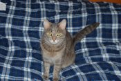 DSC_4917.JPG