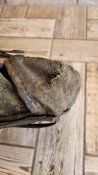 Сумка для магазинів автамата модульна 6ш137