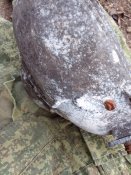 Частина фари з кацапської САУ 2С1 Гвоздіка