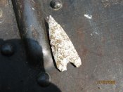 IMG_0267.jpg