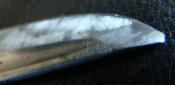 DSC09520.jpg