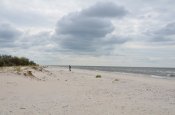 DSC_9046.JPG