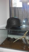 IMG_20160627_140913.jpg