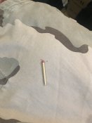 IMG_6419.jpeg