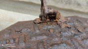 IMG_20230222_131018.jpg