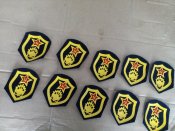 10 шевронів інженерних військ
