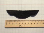 CIMG8479.JPG