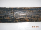 DSCN4184.JPG