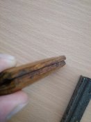 IMG_20230305_165010.jpg
