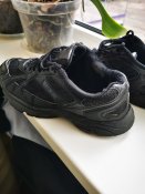 IMG_20230310_111602.jpg