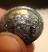 DSC07154-1.jpg
