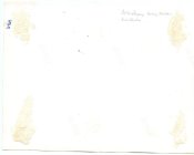 Pz.Aufkl. Abt.11_2.jpg