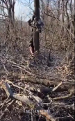 Снимок.PNG