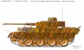 --Panther (3).jpg