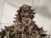 Камуфляжный 3Д костюм Осенний лес