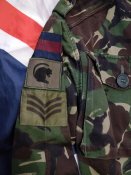 British Army '95 pattern Woodland camouflage DPM Temperate smock 180/96