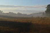 DSC_0208.JPG
