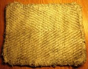 IMG_5194.JPG