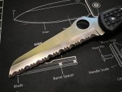 photo_2023-03-18 18.27.03.jpeg