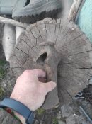 IMG_20230320_180737.jpg