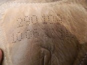DSCN1328[1].JPG