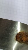 IMG_20230324_175048.jpg