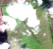 SKYWATCH_SS_PS_20221009T1209_TC_Tile_0_0_7e9b_visual.png