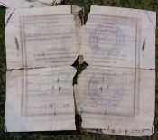 Паспорт и военник кацапа