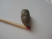 IMG_2885_thumb.jpg